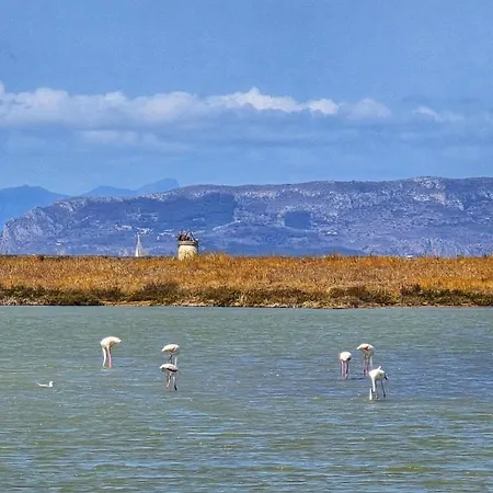 Canepa * Marsala