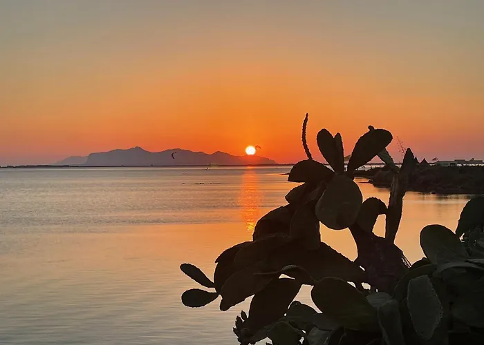 Canepa * מרסאלה