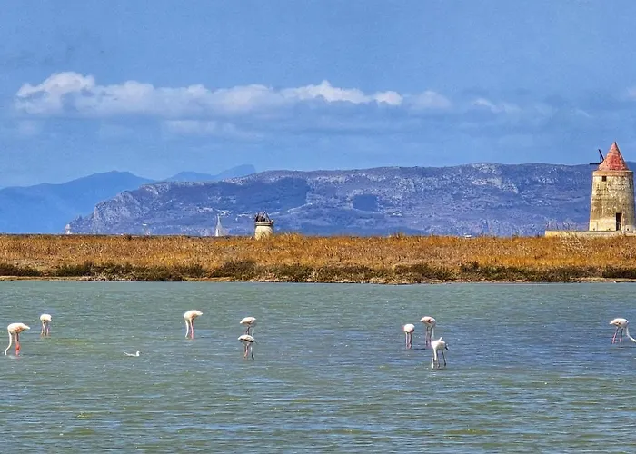 Canepa * מרסאלה